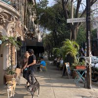   at FOREVER in Mexico City