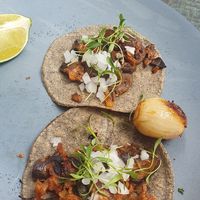 Tacos de pastor de setas en adobo at FOREVER in Mexico City