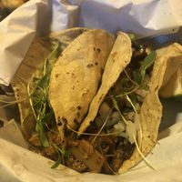 Mushroom tacos  at FOREVER in Mexico City