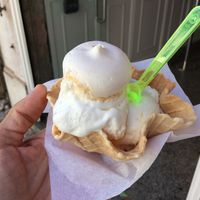 gelado at Gelados Fragoleto in Lisbon