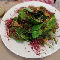 Salad with tempeh at Vegetalia - Born in Barcelona