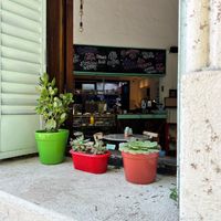  #Veganuary at Casa Munay in Buenos Aires