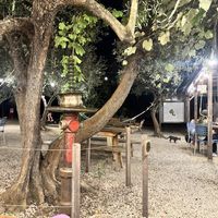   at Orti di Mare in Capoliveri
