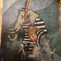 Lovely photos  at The V Factor in Lanzarote