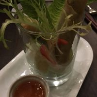 Spring rolls at Herban Fix Vegan Kitchen in Atlanta