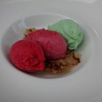 Homemade vegan sorbet: cactusand lime, raspberry and violett, peaches at La Table des Roy in Nantes
