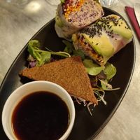 Spring Rolls at Botanica Lab in Bologna