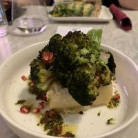 Potato  at Botanica Lab in Bologna