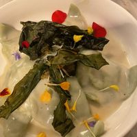 Autumn triangles  at Botanica Lab in Bologna