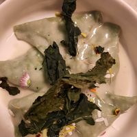 Triangoli di pasta fresca at Botanica Lab in Bologna