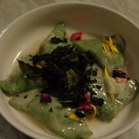 Green autumnal triangles. at Botanica Lab in Bologna