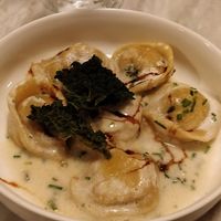  at Botanica Lab in Bologna