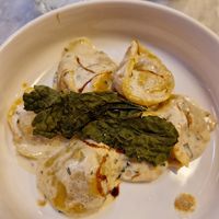 Plin at Botanica Lab in Bologna