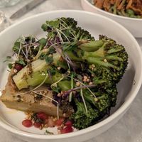  at Botanica Lab in Bologna