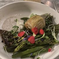   at Botanica Lab in Bologna