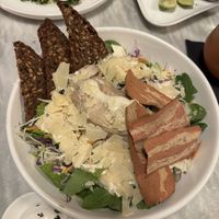 Caesar   at Botanica Lab in Bologna