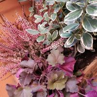 Outside at Botanica Lab in Bologna