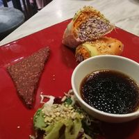 Raw spring rolls at Botanica Lab in Bologna