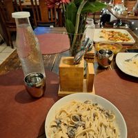 Mushroom Stroganoff! Mmm! Was not expecting this option but so glad they have it! at The Red Dot Vegetarian Kitchen in Frazier Park