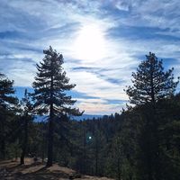  at The Red Dot Vegetarian Kitchen in Frazier Park