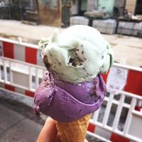 Minty and blueberry icecream, tasty at Nicecream - Elmegade in Copenhagen