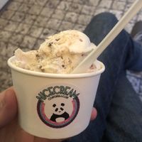 Sneaky bizz  at Nicecream - Elmegade in Copenhagen