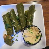Grape leaves with hummus at Zingo's Mediterranean in Perrysburg