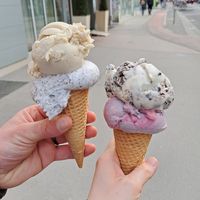  at Veganista Ice Cream II in Vienna