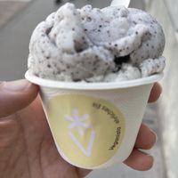 Flavour Mohn  at Veganista Ice Cream II in Vienna