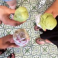 Flavours: matcha, black forest, poppy seed, basil at Veganista Ice Cream II in Vienna