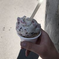 Black Forest and hazelnut  at Veganista Ice Cream II in Vienna