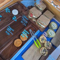 Savoury things at MOA Bakery Cakery in Oamaru