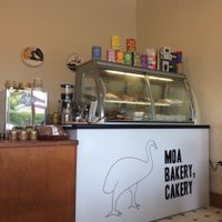 The cabinet with the delicious food - top shelf sweets, bottom shelf savory goodies at MOA Bakery Cakery in Oamaru