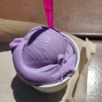 vegan ube! at Mason's Creamery in Cleveland