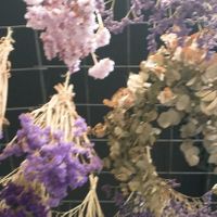 Ceiling at The Green Queen in Stockholm