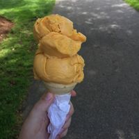 pumpkin flavor  at CJ's Big Dipper in Bar Harbor