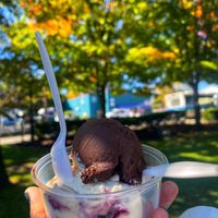 Blueberry and chocolate coconut   at CJ's Big Dipper in Bar Harbor