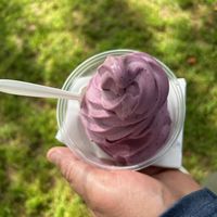 almond milk blueberry swirl 🫐   at CJ's Big Dipper in Bar Harbor