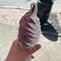   at CJ's Big Dipper in Bar Harbor