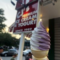 Blueberry and vanilla vegan swirl  at CJ's Big Dipper in Bar Harbor