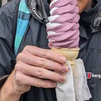 Dairy free blueberry and vanilla soft serve at CJ's Big Dipper in Bar Harbor