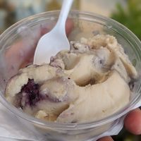  at CJ's Big Dipper in Bar Harbor