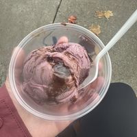 Blackberry fudge  at CJ's Big Dipper in Bar Harbor