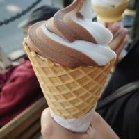 Twist soft serve vegan at CJ's Big Dipper in Bar Harbor