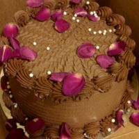 Vegan Chocolate Raspberry Cake at Pettirosso in Seattle