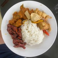 Mock meats with rice from the buffet. at Blue Boy Vegetarian Food Centre in Kuala Lumpur
