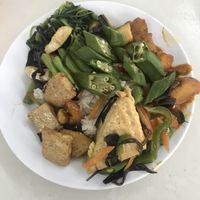 Stuffed our plate and it still was ridiculously cheap  at Blue Boy Vegetarian Food Centre in Kuala Lumpur