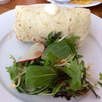 Vegan burrito at The Blue Bird Vegetarian Cafe in Auckland