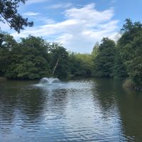 View from the terrace @ Waldsee, Freiburg at Waldsee in Freiburg