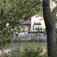 View across the lake towards Waldsee, Freiburg at Waldsee in Freiburg